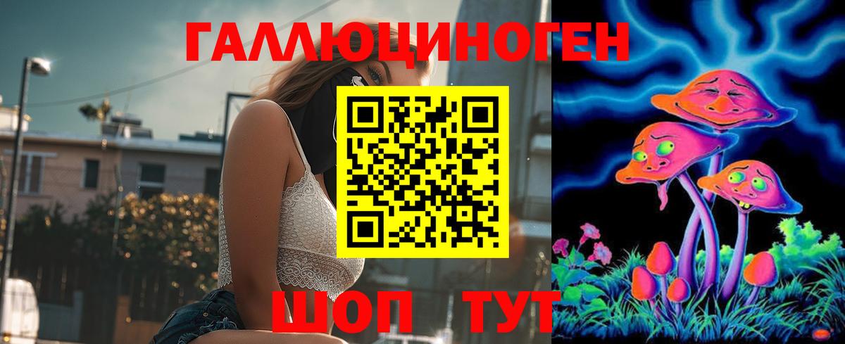 Семёнов  Псилоцибиновые грибы Psilocybine cubensis  Вход с VPN 