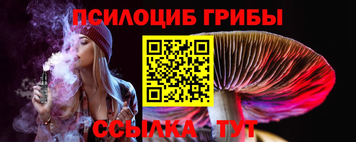Галлюциногенные грибы Psilocybine cubensis Семёнов